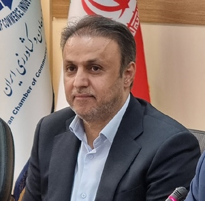 اولین همایش ملی مدیریت ریسک و پایداری سازمانی در معدن و صنایع معدنی